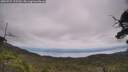 ./images/calvert/fitz-hugh-hecate/20250727/fitz-hugh-hecate20250727_125510M.jpg