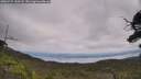 ./images/calvert/fitz-hugh-hecate/20250727/fitz-hugh-hecate20250727_130507M.jpg