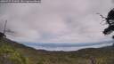 ./images/calvert/fitz-hugh-hecate/20250727/fitz-hugh-hecate20250727_131009M.jpg