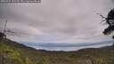 ./images/calvert/fitz-hugh-hecate/20250727/fitz-hugh-hecate20250727_132510M.jpg