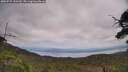 ./images/calvert/fitz-hugh-hecate/20250727/fitz-hugh-hecate20250727_133510M.jpg