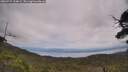 ./images/calvert/fitz-hugh-hecate/20250727/fitz-hugh-hecate20250727_134009M.jpg