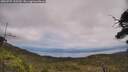 ./images/calvert/fitz-hugh-hecate/20250727/fitz-hugh-hecate20250727_135510M.jpg