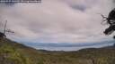 ./images/calvert/fitz-hugh-hecate/20250727/fitz-hugh-hecate20250727_140510M.jpg