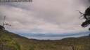 ./images/calvert/fitz-hugh-hecate/20250727/fitz-hugh-hecate20250727_141510M.jpg