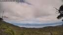 ./images/calvert/fitz-hugh-hecate/20250727/fitz-hugh-hecate20250727_142510M.jpg