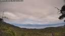 ./images/calvert/fitz-hugh-hecate/20250727/fitz-hugh-hecate20250727_143509M.jpg