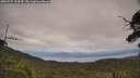 ./images/calvert/fitz-hugh-hecate/20250727/fitz-hugh-hecate20250727_144510M.jpg