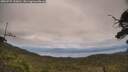 ./images/calvert/fitz-hugh-hecate/20250727/fitz-hugh-hecate20250727_145010M.jpg