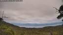 ./images/calvert/fitz-hugh-hecate/20250727/fitz-hugh-hecate20250727_145508M.jpg