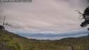 ./images/calvert/fitz-hugh-hecate/20250727/fitz-hugh-hecate20250727_150509M.jpg