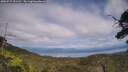 ./images/calvert/fitz-hugh-hecate/20250727/fitz-hugh-hecate20250727_151511M.jpg