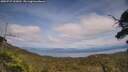 ./images/calvert/fitz-hugh-hecate/20250727/fitz-hugh-hecate20250727_153012M.jpg