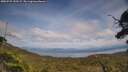 ./images/calvert/fitz-hugh-hecate/20250727/fitz-hugh-hecate20250727_153509M.jpg