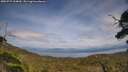 ./images/calvert/fitz-hugh-hecate/20250727/fitz-hugh-hecate20250727_154010M.jpg