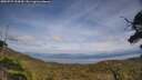 ./images/calvert/fitz-hugh-hecate/20250727/fitz-hugh-hecate20250727_154509M.jpg