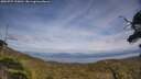 ./images/calvert/fitz-hugh-hecate/20250727/fitz-hugh-hecate20250727_155011M.jpg