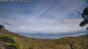 ./images/calvert/fitz-hugh-hecate/20250727/fitz-hugh-hecate20250727_155510M.jpg
