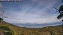 ./images/calvert/fitz-hugh-hecate/20250727/fitz-hugh-hecate20250727_160010M.jpg