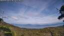 ./images/calvert/fitz-hugh-hecate/20250727/fitz-hugh-hecate20250727_161009M.jpg