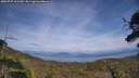 ./images/calvert/fitz-hugh-hecate/20250727/fitz-hugh-hecate20250727_161510M.jpg