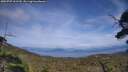 ./images/calvert/fitz-hugh-hecate/20250727/fitz-hugh-hecate20250727_162510M.jpg