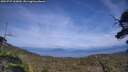 ./images/calvert/fitz-hugh-hecate/20250727/fitz-hugh-hecate20250727_163009M.jpg