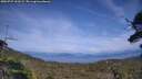 ./images/calvert/fitz-hugh-hecate/20250727/fitz-hugh-hecate20250727_163509M.jpg