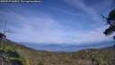 ./images/calvert/fitz-hugh-hecate/20250727/fitz-hugh-hecate20250727_164010M.jpg