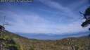 ./images/calvert/fitz-hugh-hecate/20250727/fitz-hugh-hecate20250727_164511M.jpg