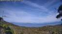./images/calvert/fitz-hugh-hecate/20250727/fitz-hugh-hecate20250727_165011M.jpg