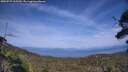 ./images/calvert/fitz-hugh-hecate/20250727/fitz-hugh-hecate20250727_165510M.jpg