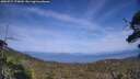 ./images/calvert/fitz-hugh-hecate/20250727/fitz-hugh-hecate20250727_170009M.jpg
