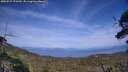 ./images/calvert/fitz-hugh-hecate/20250727/fitz-hugh-hecate20250727_170509M.jpg