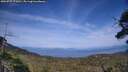 ./images/calvert/fitz-hugh-hecate/20250727/fitz-hugh-hecate20250727_171010M.jpg
