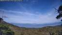 ./images/calvert/fitz-hugh-hecate/20250727/fitz-hugh-hecate20250727_172509M.jpg