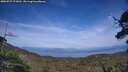 ./images/calvert/fitz-hugh-hecate/20250727/fitz-hugh-hecate20250727_173011M.jpg
