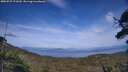 ./images/calvert/fitz-hugh-hecate/20250727/fitz-hugh-hecate20250727_173510M.jpg
