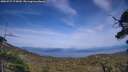 ./images/calvert/fitz-hugh-hecate/20250727/fitz-hugh-hecate20250727_175010M.jpg
