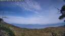 ./images/calvert/fitz-hugh-hecate/20250727/fitz-hugh-hecate20250727_181511M.jpg