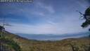 ./images/calvert/fitz-hugh-hecate/20250727/fitz-hugh-hecate20250727_182509M.jpg