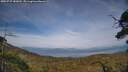 ./images/calvert/fitz-hugh-hecate/20250727/fitz-hugh-hecate20250727_183011M.jpg