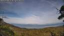 ./images/calvert/fitz-hugh-hecate/20250727/fitz-hugh-hecate20250727_183507M.jpg