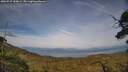 ./images/calvert/fitz-hugh-hecate/20250727/fitz-hugh-hecate20250727_184009M.jpg