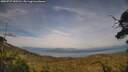 ./images/calvert/fitz-hugh-hecate/20250727/fitz-hugh-hecate20250727_185510M.jpg