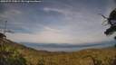 ./images/calvert/fitz-hugh-hecate/20250727/fitz-hugh-hecate20250727_190009M.jpg