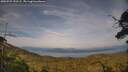 ./images/calvert/fitz-hugh-hecate/20250727/fitz-hugh-hecate20250727_190505M.jpg