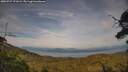 ./images/calvert/fitz-hugh-hecate/20250727/fitz-hugh-hecate20250727_191009M.jpg