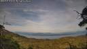 ./images/calvert/fitz-hugh-hecate/20250727/fitz-hugh-hecate20250727_191508M.jpg