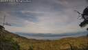 ./images/calvert/fitz-hugh-hecate/20250727/fitz-hugh-hecate20250727_192008M.jpg
